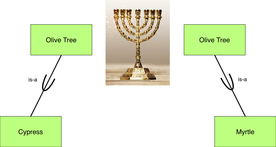 Olive Tree specialisations