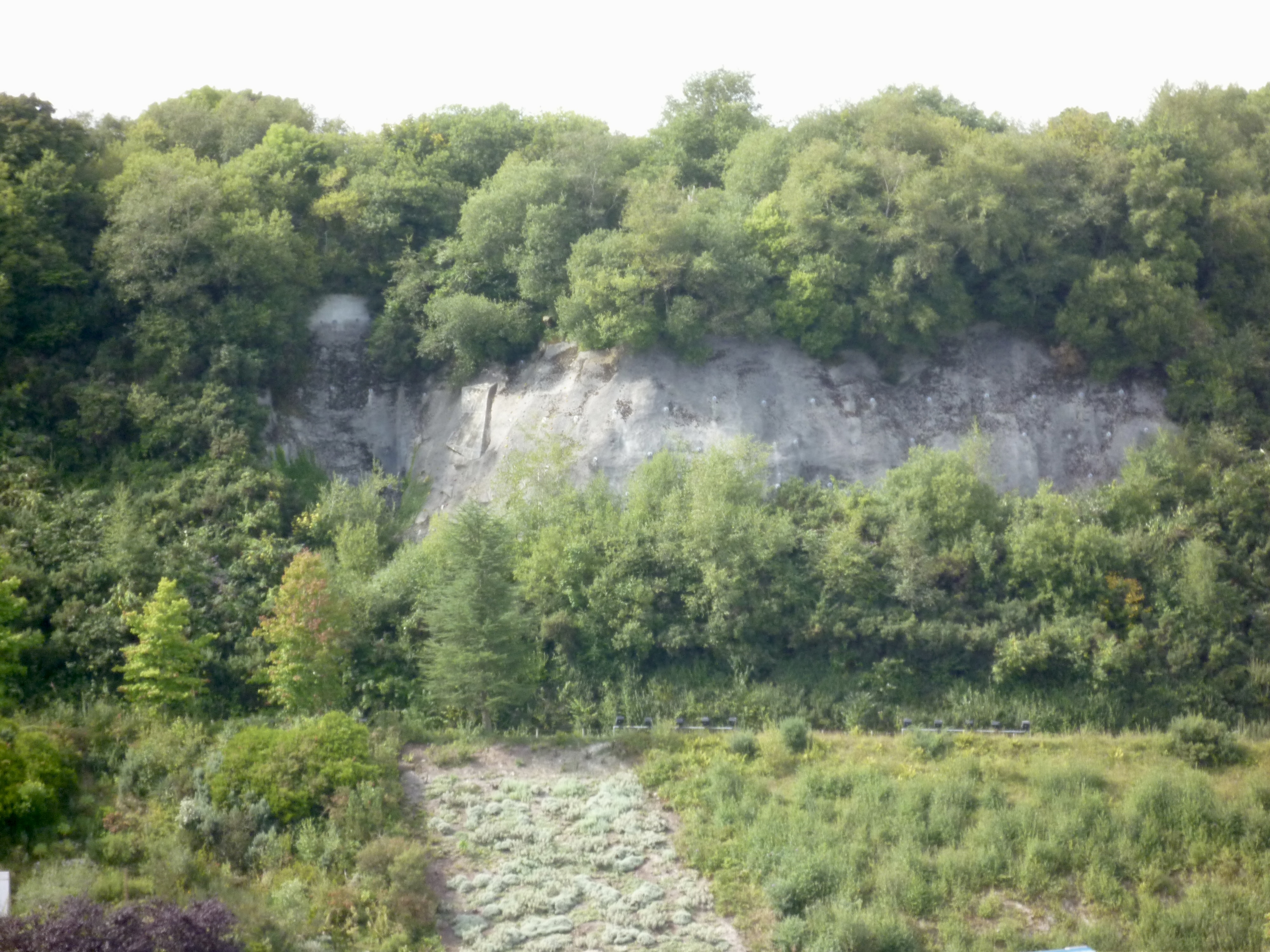 Eden Project