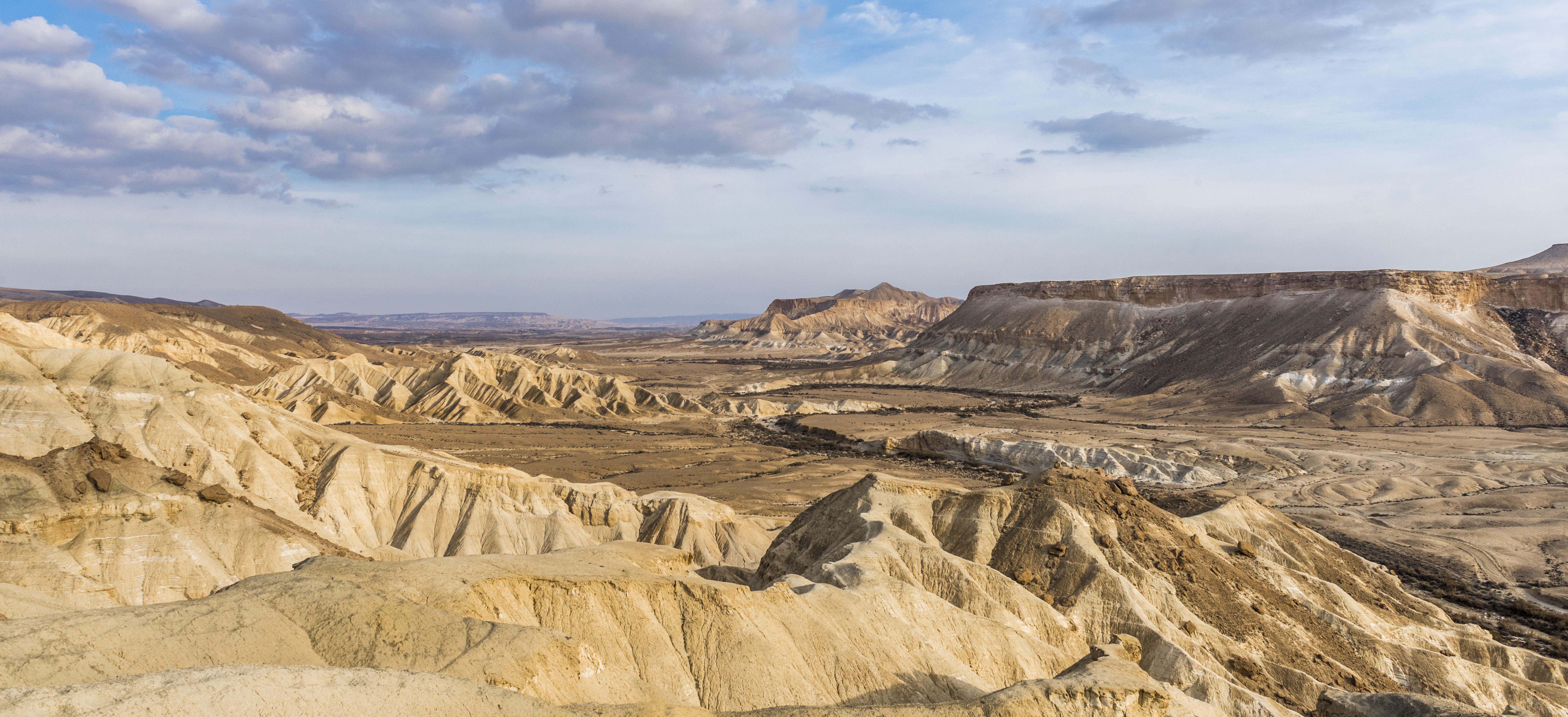 The Negev desert